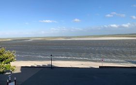 Les Mouettes Blessées